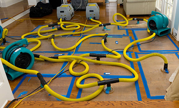 Professional Basement Flood Cleanup technician working in Lakeshore, CA